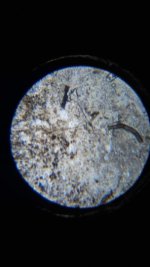 20260412_001506.jpg 20260412_001506.jpg