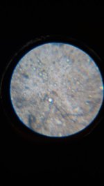 20260412_001537.jpg 20260412_001537.jpg