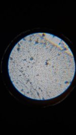 20260412_001826.jpg 20260412_001826.jpg