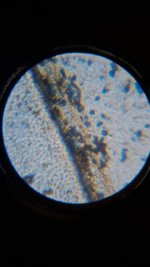 20260412_002013.jpg 20260412_002013.jpg