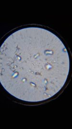 20260412_002331.jpg 20260412_002331.jpg