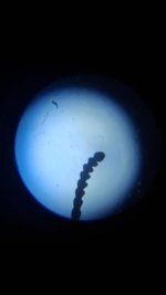 20260412_002958.jpg 20260412_002958.jpg