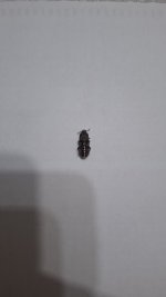 20260411_235104.jpg 20260411_235104.jpg