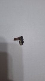 20260411_235306.jpg 20260411_235306.jpg