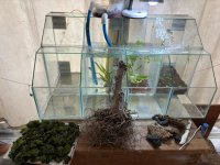 WhatsApp Image 2026-04-13 at 00.07.38 (4).jpeg