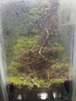 WhatsApp Image 2026-04-13 at 00.07.38 (2).jpeg