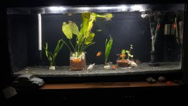 WhatsApp Image 2026-04-13 at 00.07.37.jpeg