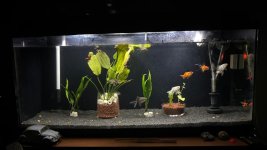 WhatsApp Image 2026-04-13 at 00.07.37 (1).jpeg