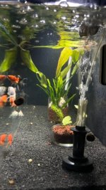 WhatsApp Image 2026-04-13 at 00.07.38 (1).jpeg