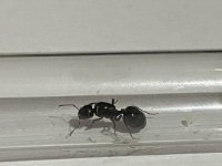IMG_0067.jpeg