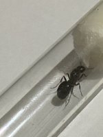 IMG_0063.jpeg