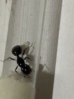 IMG_0064.jpeg