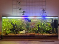 WhatsApp Image 2026-04-13 at 22.46.26.jpeg