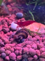 WhatsApp Image 2026-04-13 at 22.47.10.jpeg