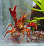 20260414_121139 - Kopya.jpg