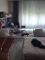 20260415_152821.jpg