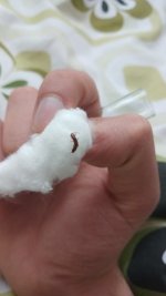 1000147880.jpg 1000147880.jpg