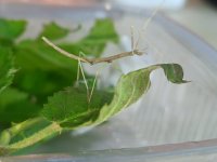 IMG_20260415_141759.jpg IMG_20260415_141759.jpg