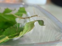 IMG_20260415_141806.jpg IMG_20260415_141806.jpg