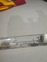 WhatsApp Image 2026-04-15 at 22.57.04.jpeg