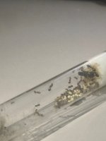 WhatsApp Image 2026-04-15 at 22.57.05 (1).jpeg