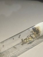 WhatsApp Image 2026-04-15 at 22.57.05 (2).jpeg