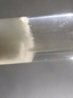 WhatsApp Image 2026-04-15 at 22.57.05.jpeg