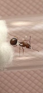 WhatsApp Image 2026-04-16 at 17.25.06.jpeg