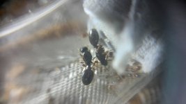 1000035289.jpg 1000035289.jpg