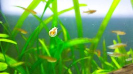 20260417_234940 - Kopya.jpg