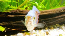 20260417_235035 - Kopya.jpg