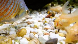 20260417_235049 - Kopya.jpg