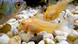 20260417_235047 - Kopya.jpg