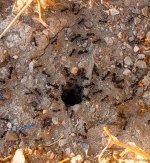 WhatsApp Image 2026-04-18 at 09.56.43.jpeg