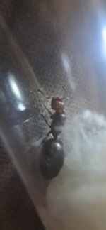 20260228_130913 (1).jpg