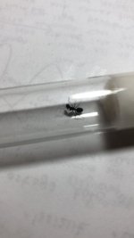 WhatsApp Image 2026-04-18 at 18.38.55.jpeg