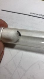 WhatsApp Image 2026-04-18 at 18.39.20.jpeg