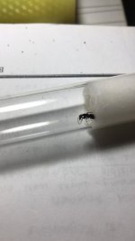 WhatsApp Image 2026-04-18 at 18.39.40.jpeg