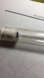 WhatsApp Image 2026-04-18 at 18.40.03.jpeg