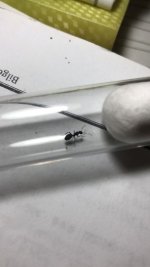 WhatsApp Image 2026-04-18 at 18.41.04.jpeg