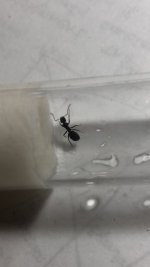 WhatsApp Image 2026-04-18 at 18.41.33.jpeg