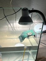 WhatsApp Image 2026-04-18 at 22.33.35.jpeg