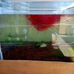 WhatsApp Image 2026-04-19 at 00.58.15.jpeg