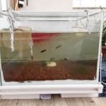 WhatsApp Image 2026-04-19 at 00.58.14.jpeg