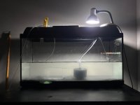 WhatsApp Image 2026-04-22 at 02.32.29_.JPG