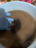 WhatsApp Image 2026-04-22 at 02.32.29 (1).jpeg