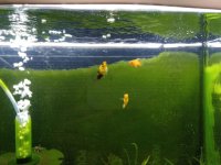 WhatsApp Image 2026-04-22 at 02.36.43 (1).jpeg