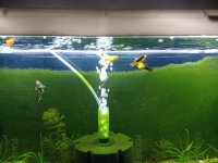 WhatsApp Image 2026-04-22 at 02.36.43.jpeg