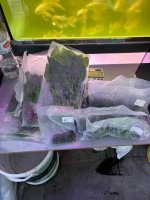 WhatsApp Image 2026-04-23 at 23.00.40 (1).jpeg