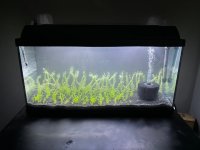 WhatsApp Image 2026-04-23 at 23.00.35.jpeg